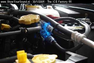 showyoursound.nl - Scooby met Audison/Focal/Alpine - The ICE Factory 55 - dsc01157.jpg - 2 keer 25mm2 voor de voeding. Hoge bling-factor, die zekeringhouders met blauwe leds. De led gaat uit als de zekering kapot is.